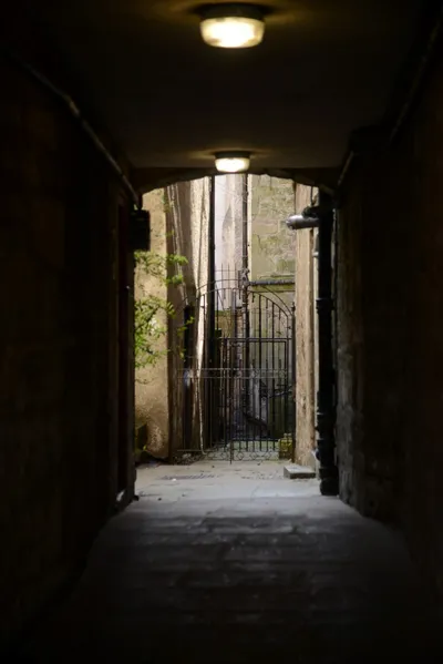 DSC_7351 (Large).JPG